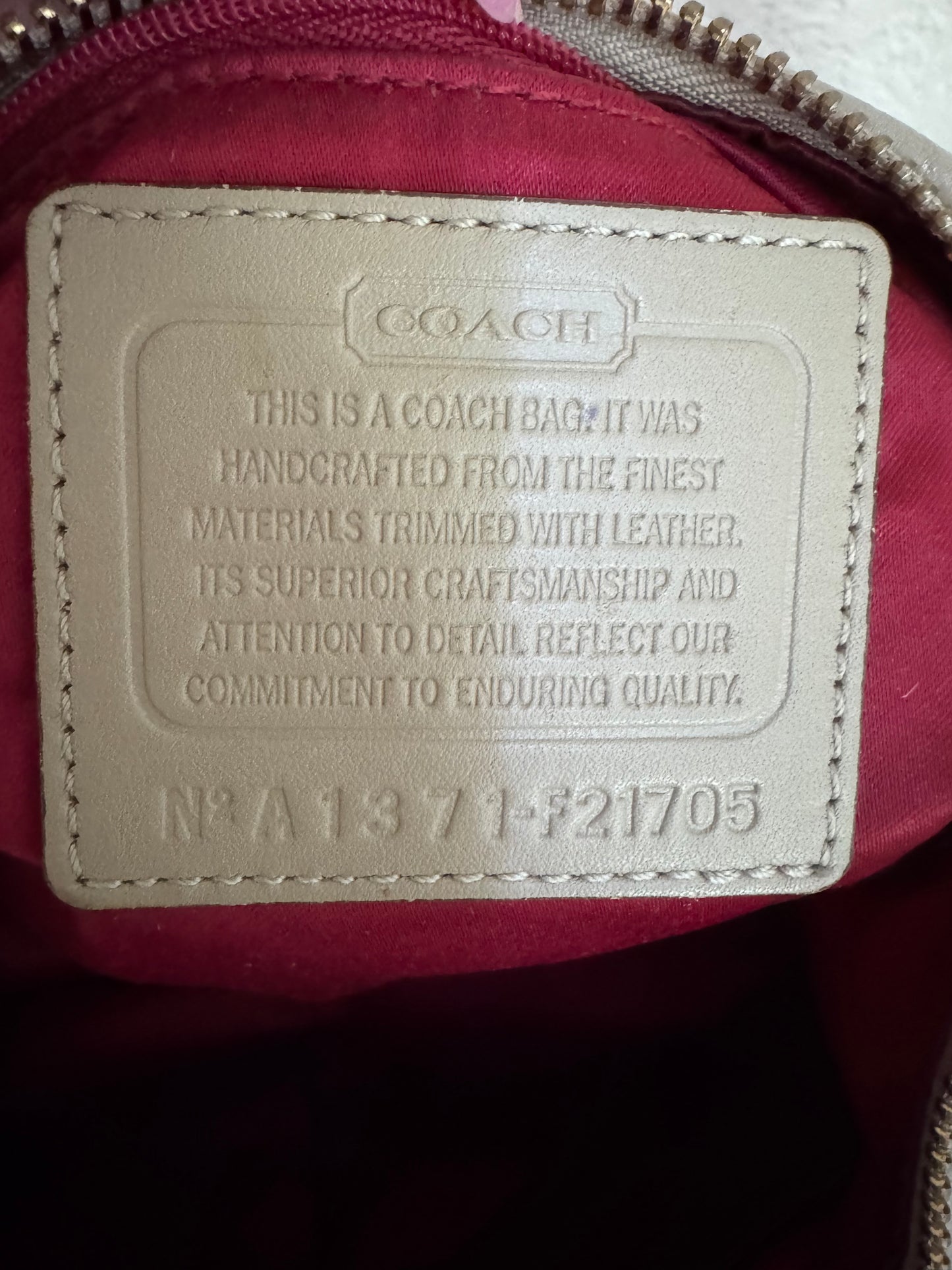 Coach Ashley Scarf Print