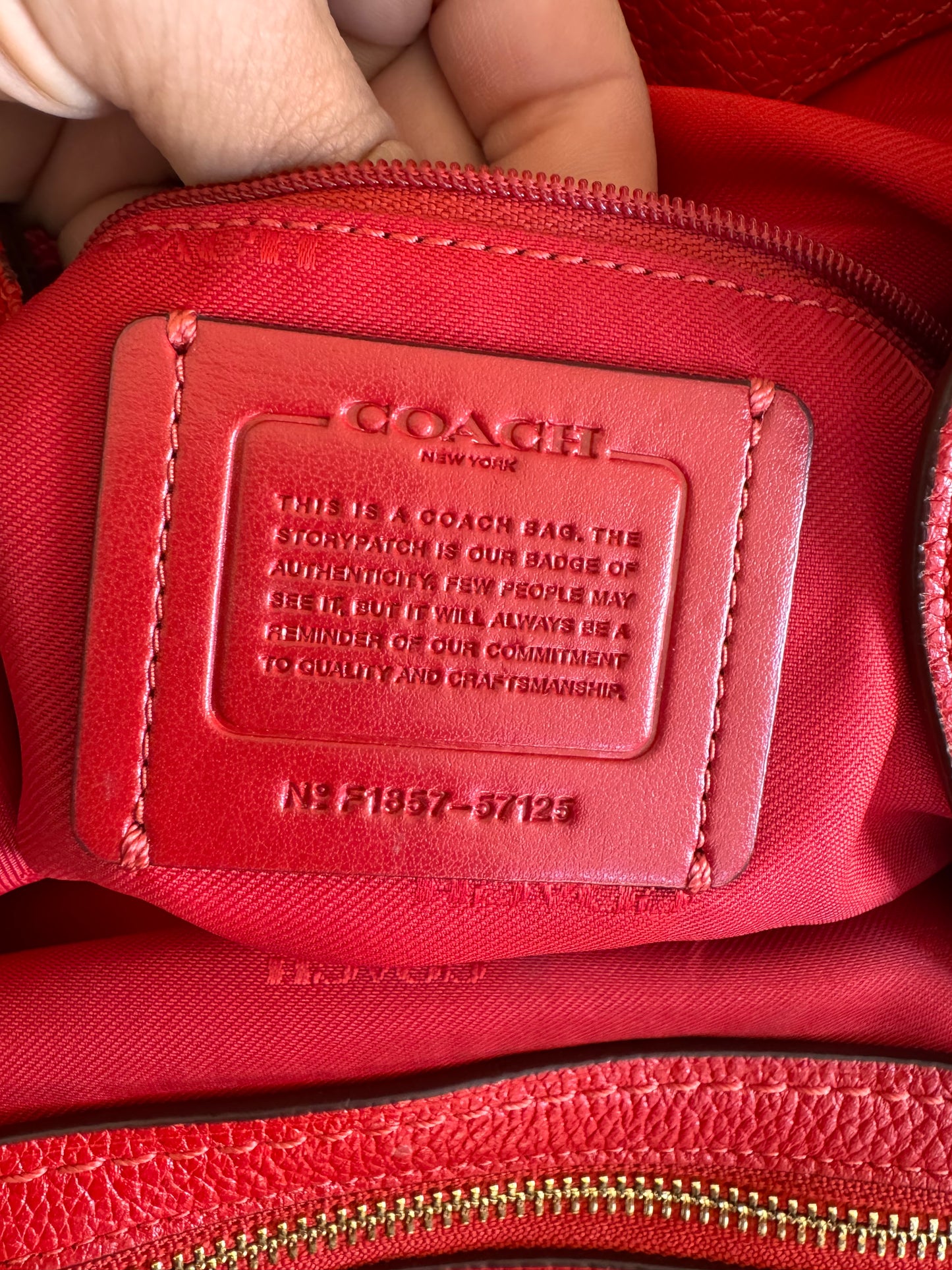 Coach Edie 31 Pebbled Shoulder Bag