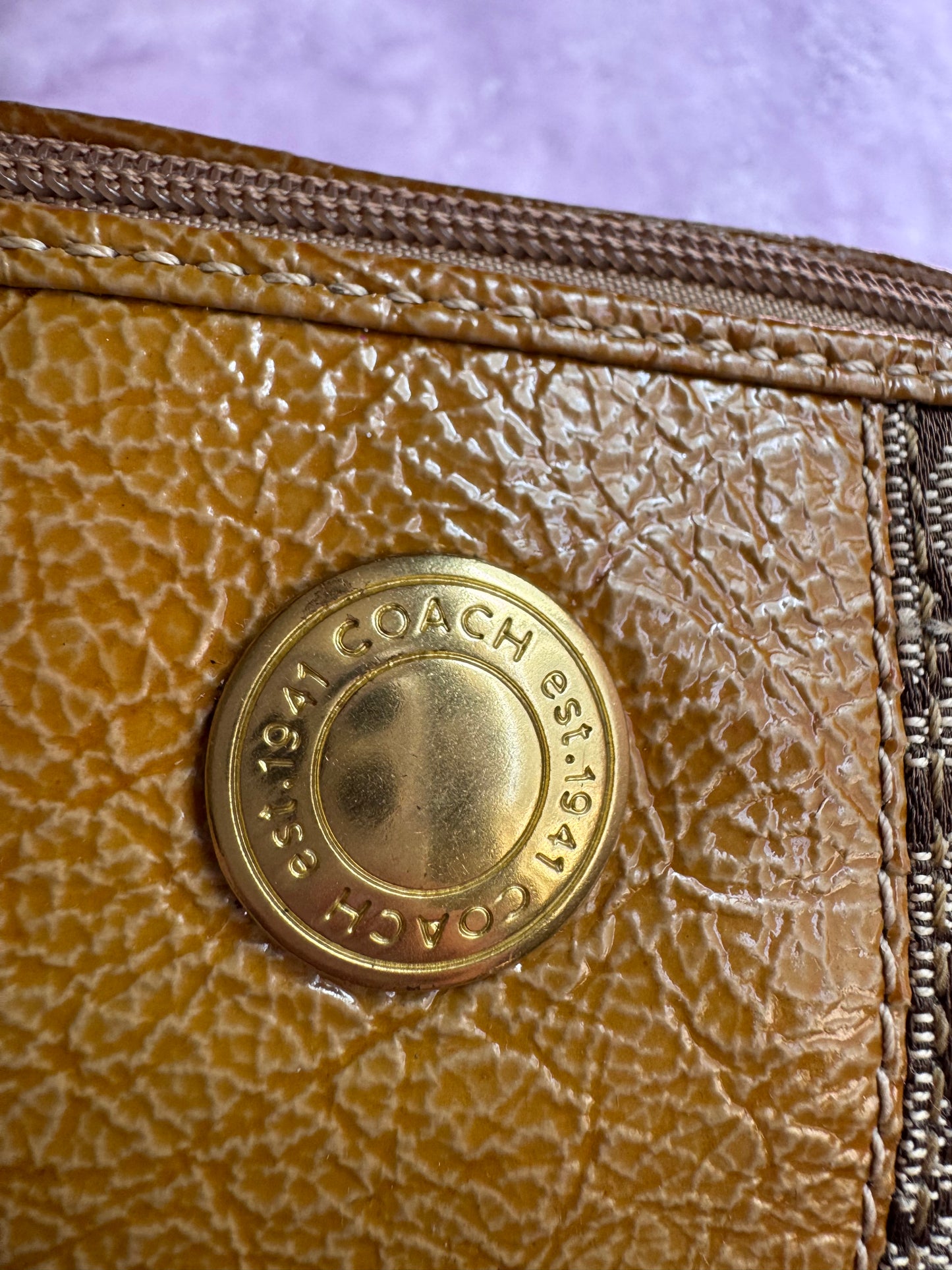 Coach Mini Bag