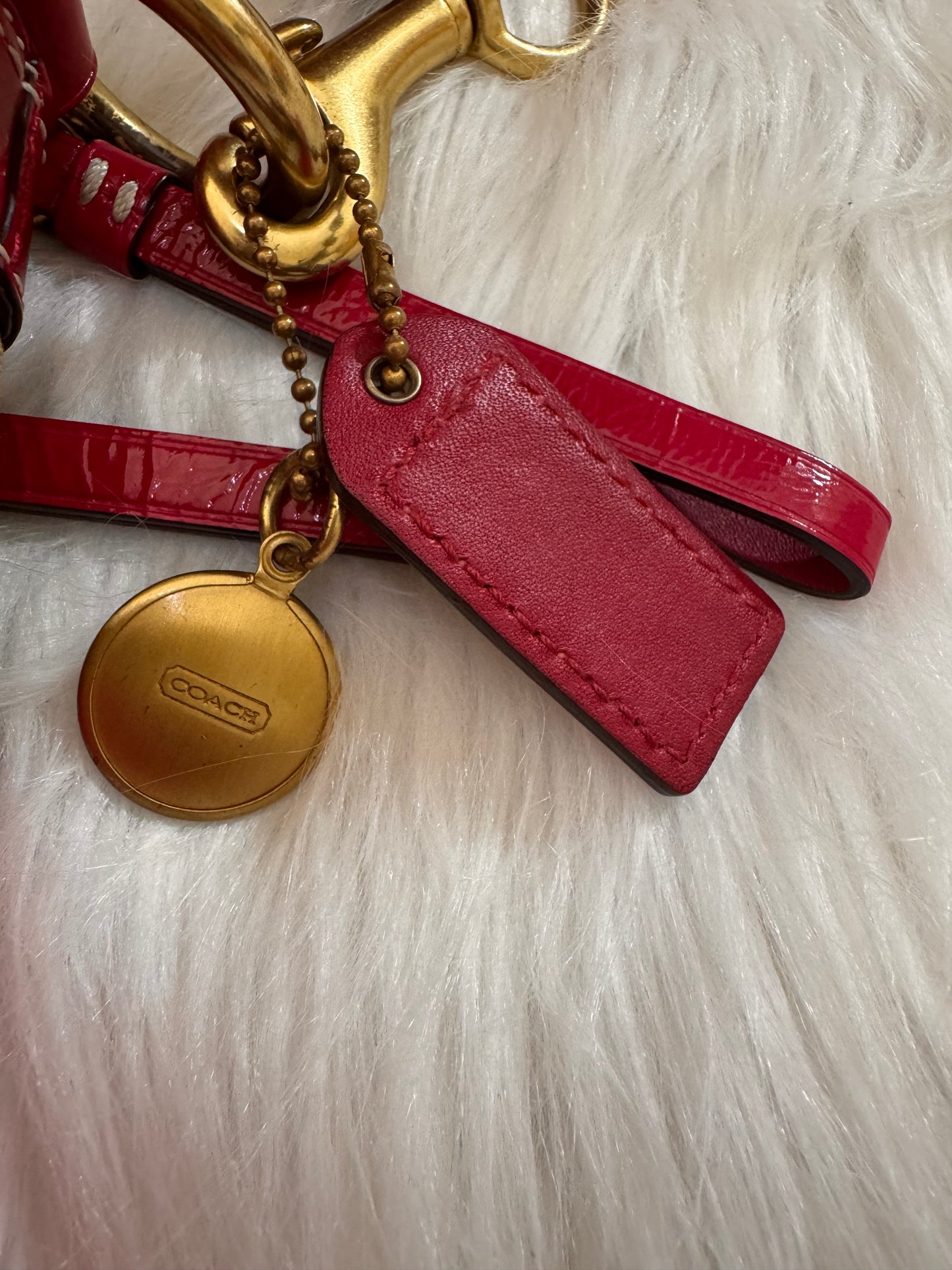Coach Demi Shoulder Bag and a matching Wristlet