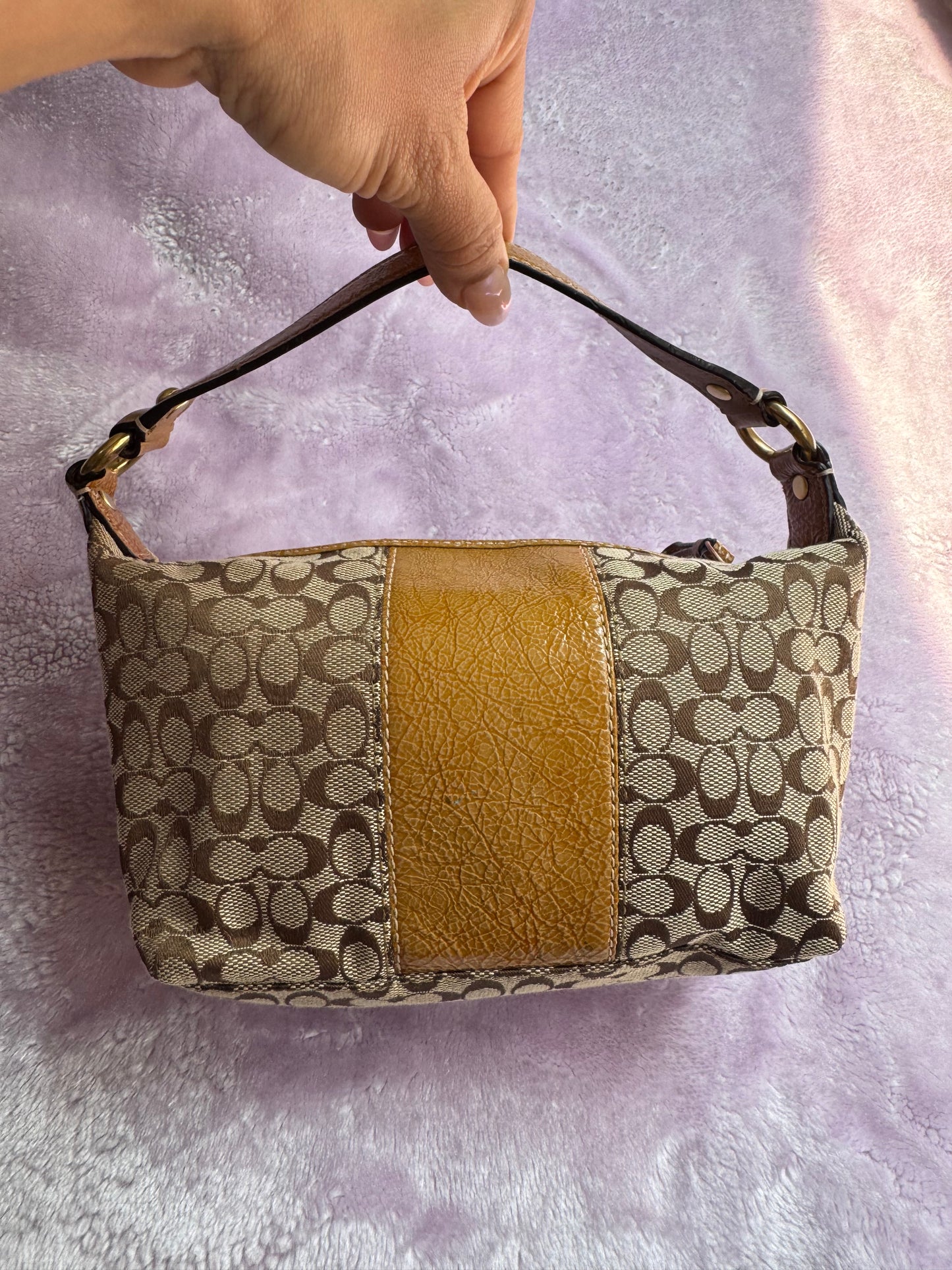 Coach Mini Bag