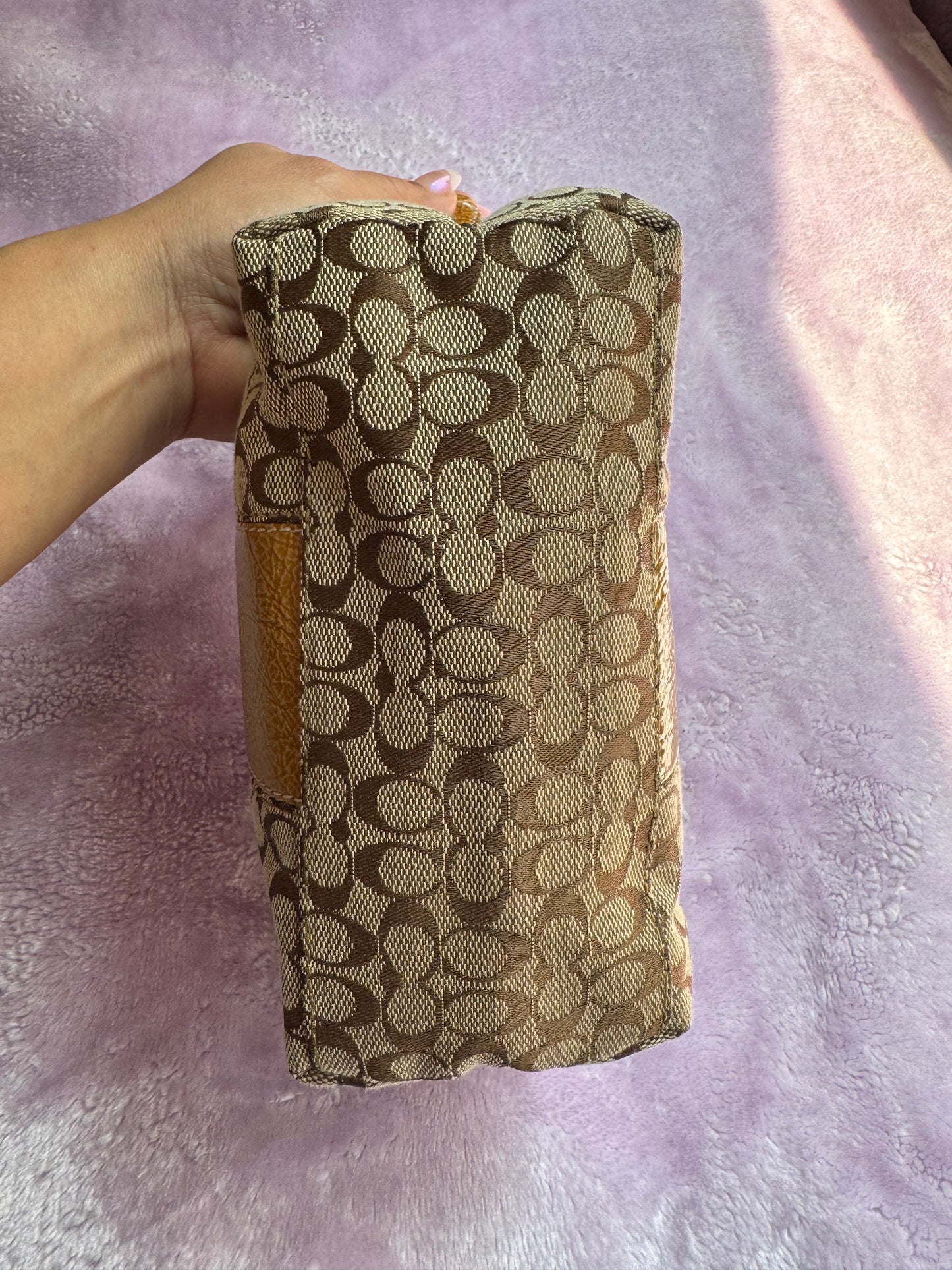 Coach Mini Bag