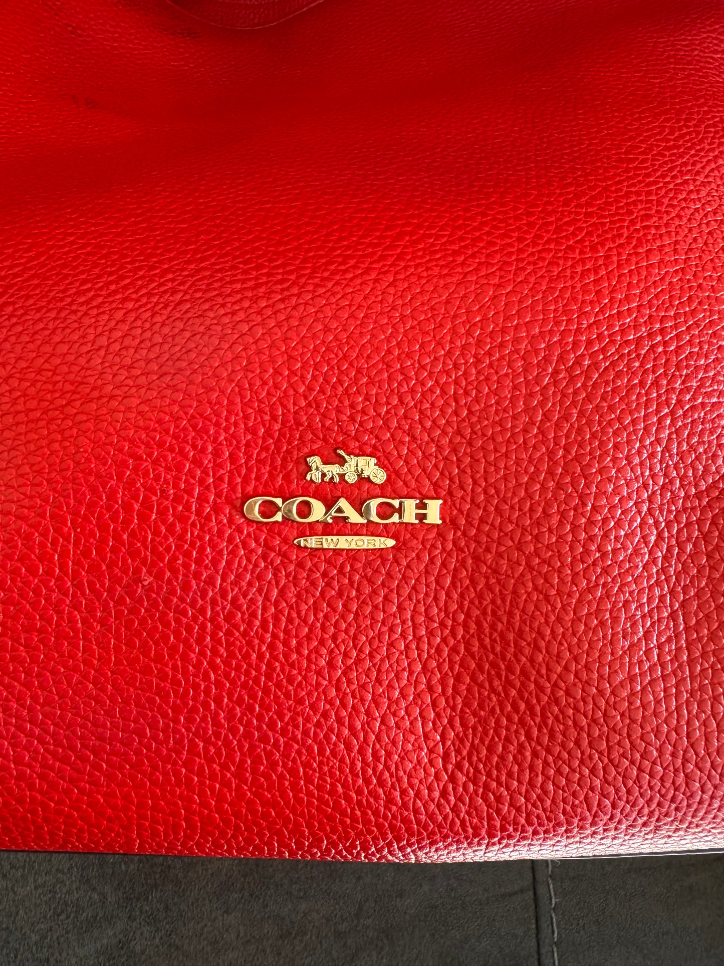 Coach Edie 31 Pebbled Shoulder Bag
