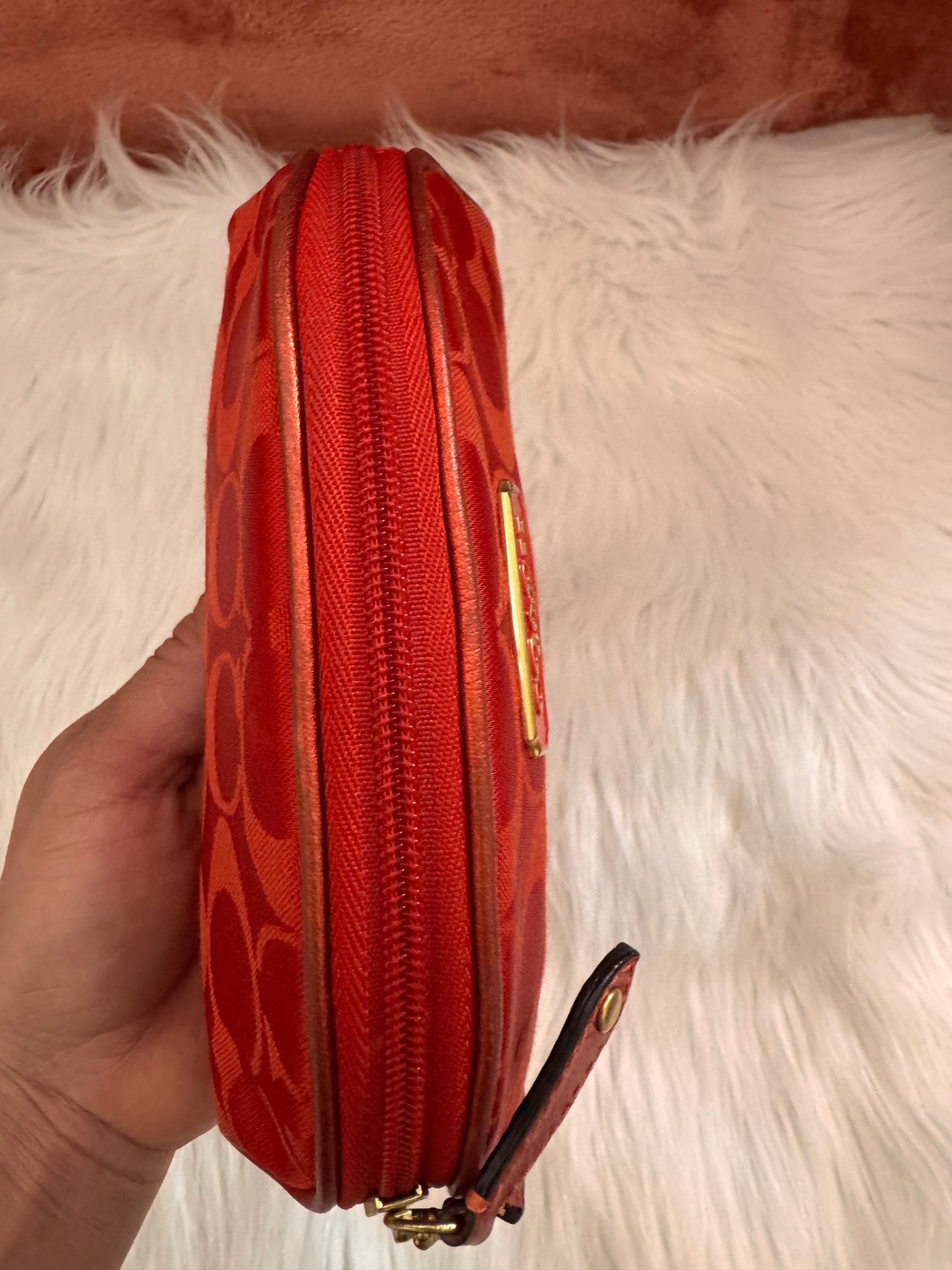 Coach Limited Edition Estée Lauder Cosmetic Bag.