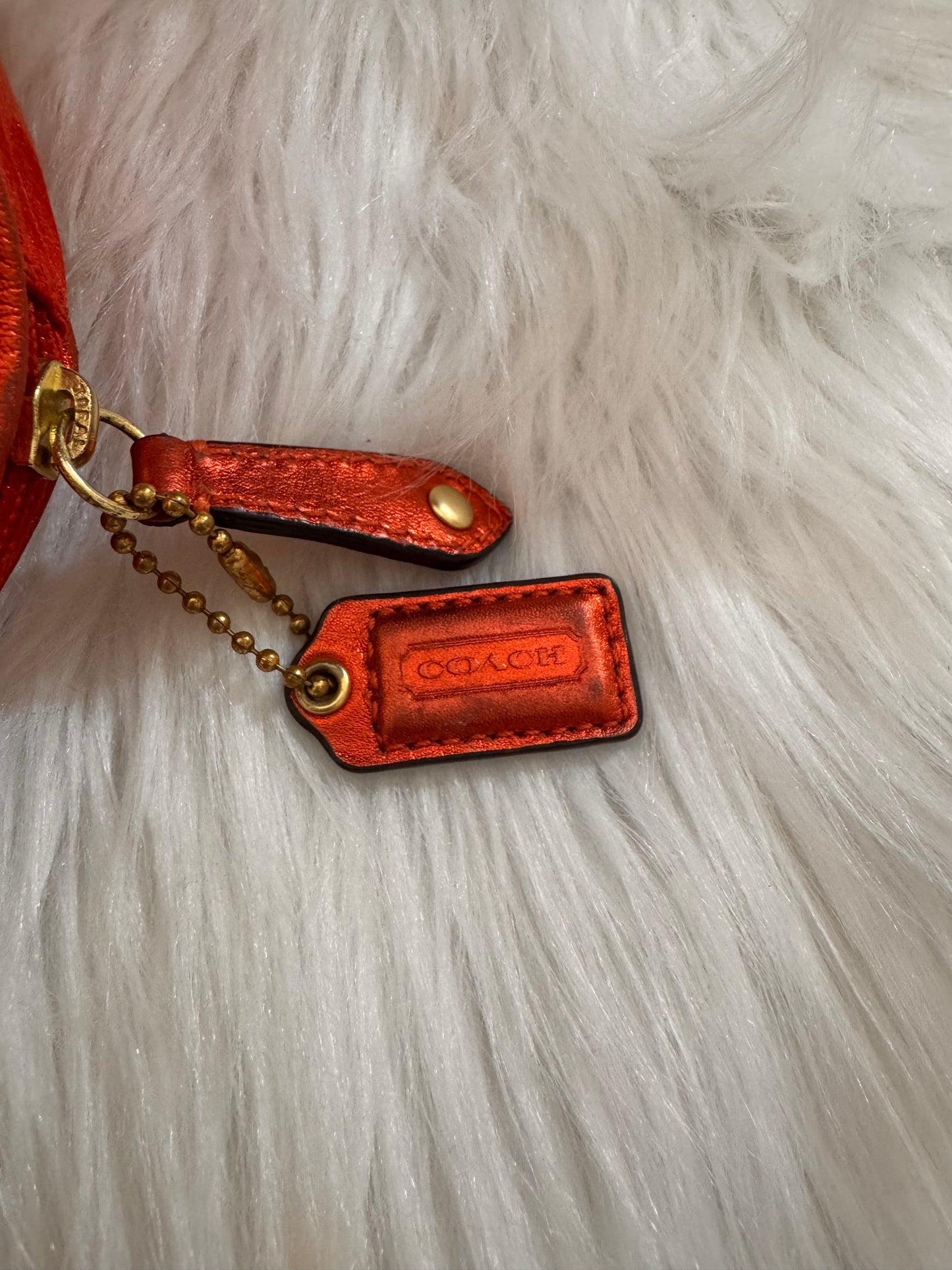 Coach Limited Edition Estée Lauder Cosmetic Bag.