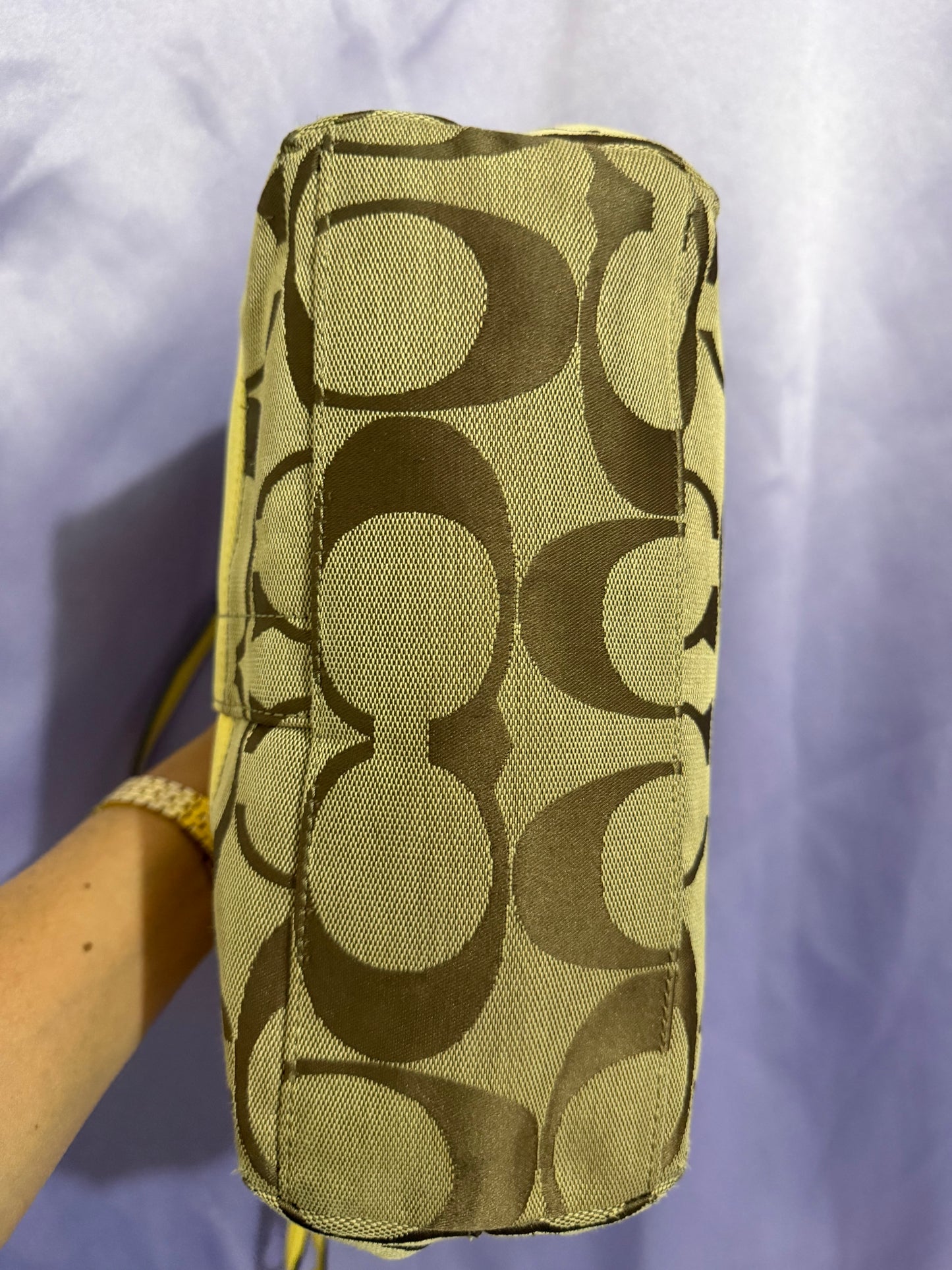 Coach Khaki/Beige Signature Stripe Tote