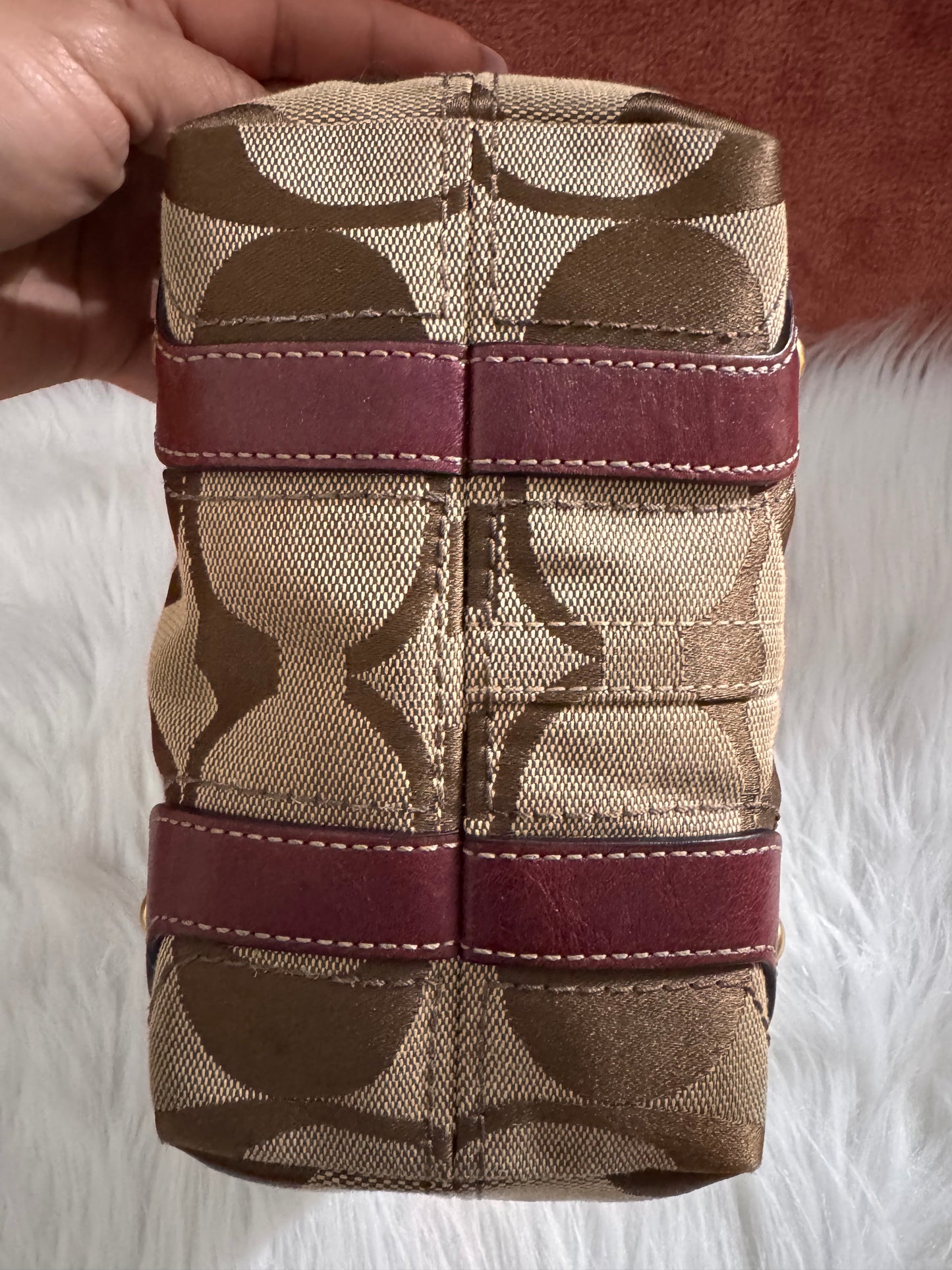 Coach Carly Bag