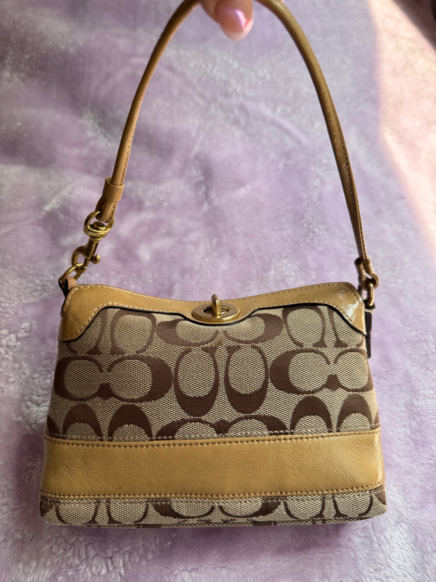 Wristlet/Purse Brown and Beige