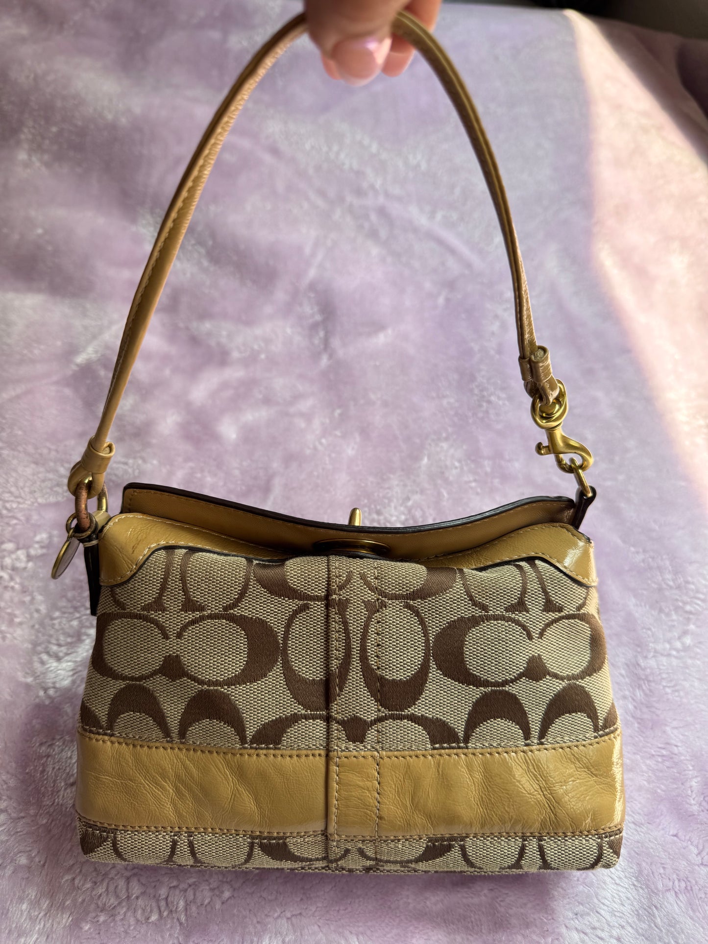 Wristlet/Purse Brown and Beige