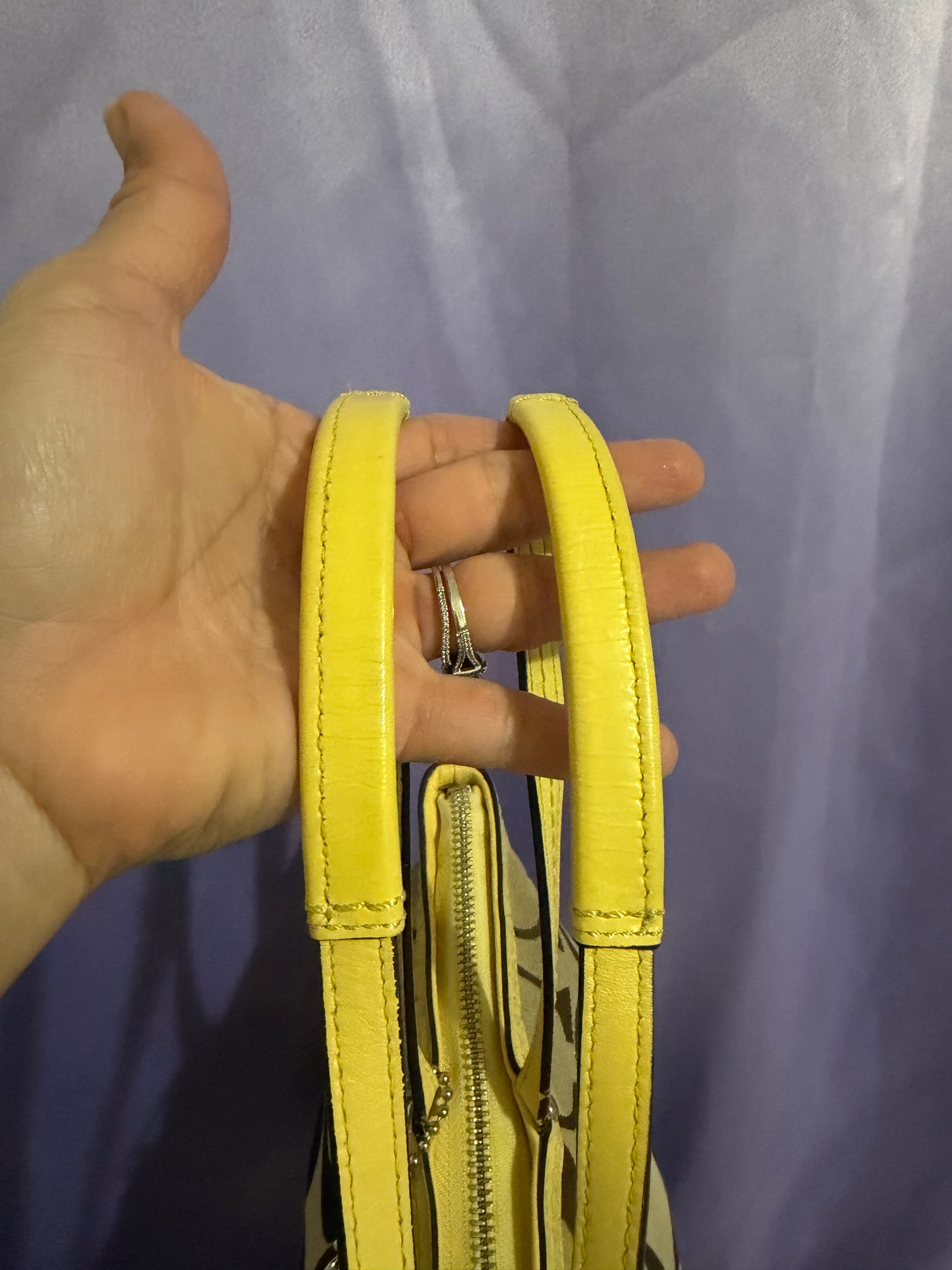 Coach Khaki/Beige Signature Stripe Tote
