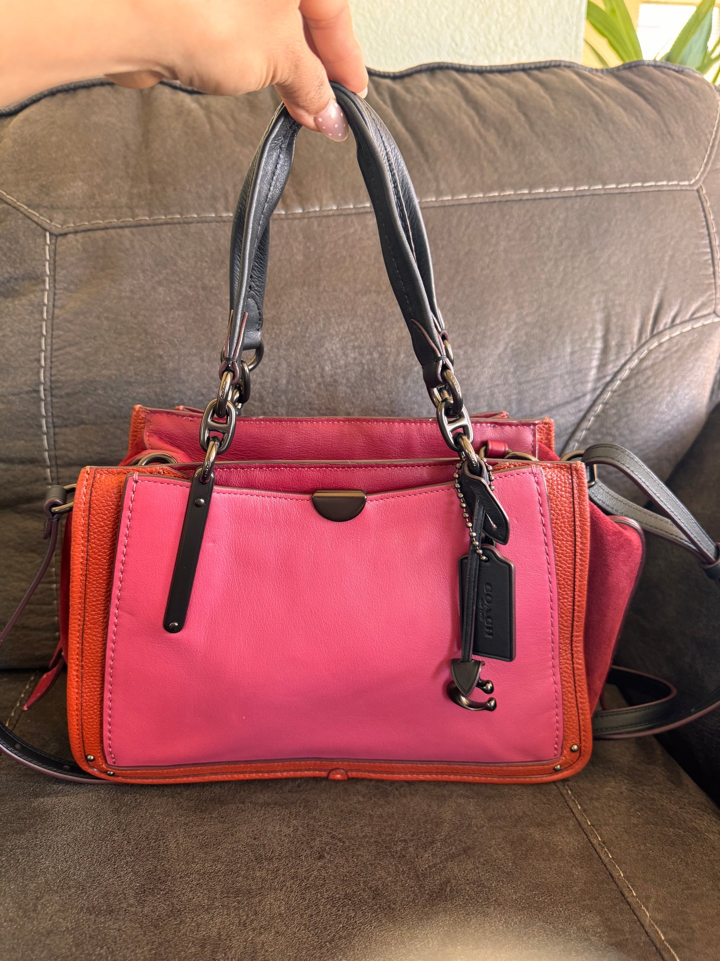 Coach Dreamer in Colorblock