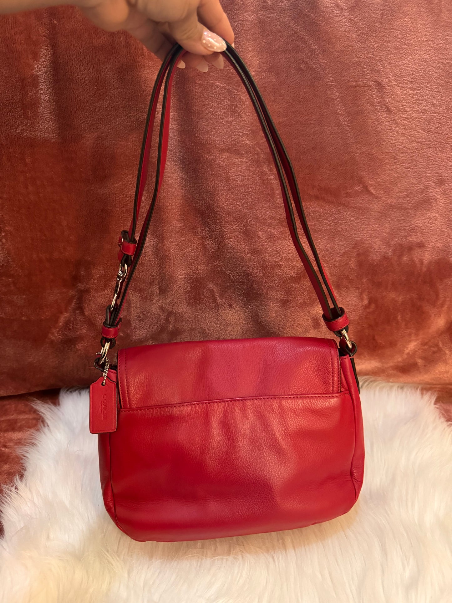 Coach Taylor Mini Flap