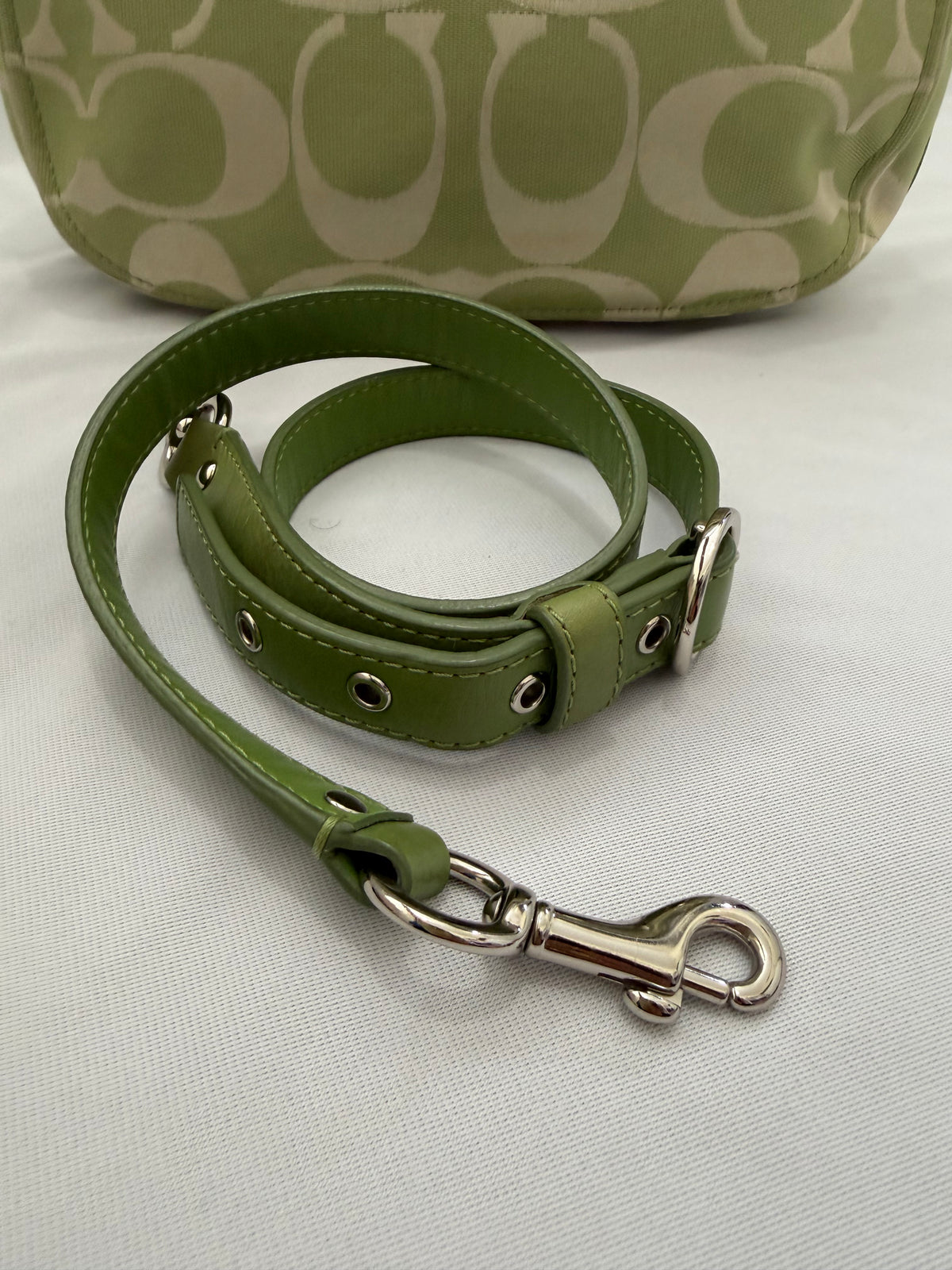 Coach Green Zoe Medium