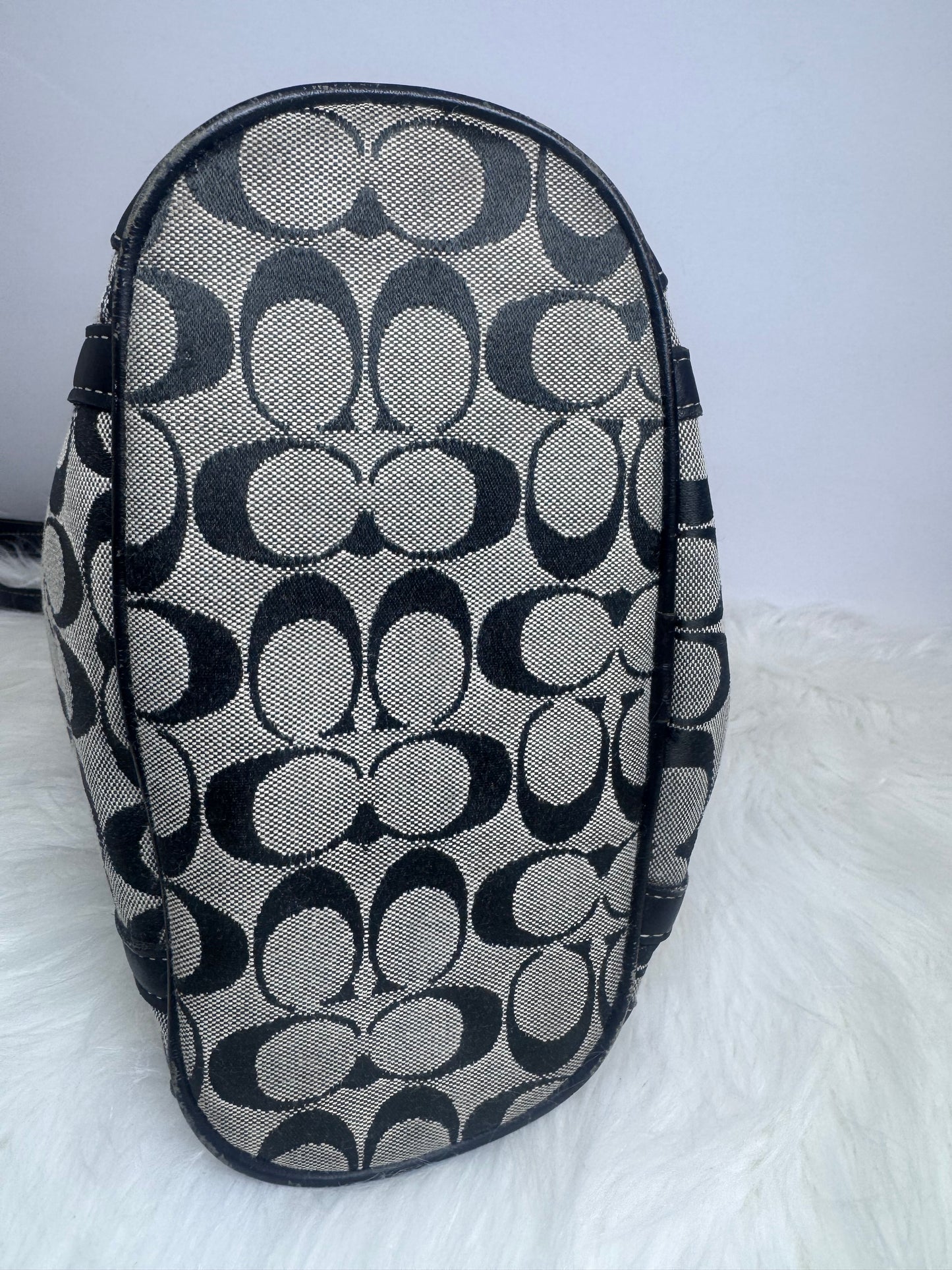 COACH Signature Tote Bag