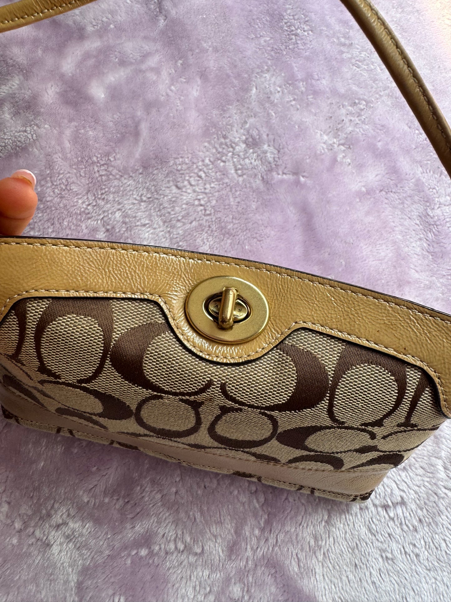Wristlet/Purse Brown and Beige
