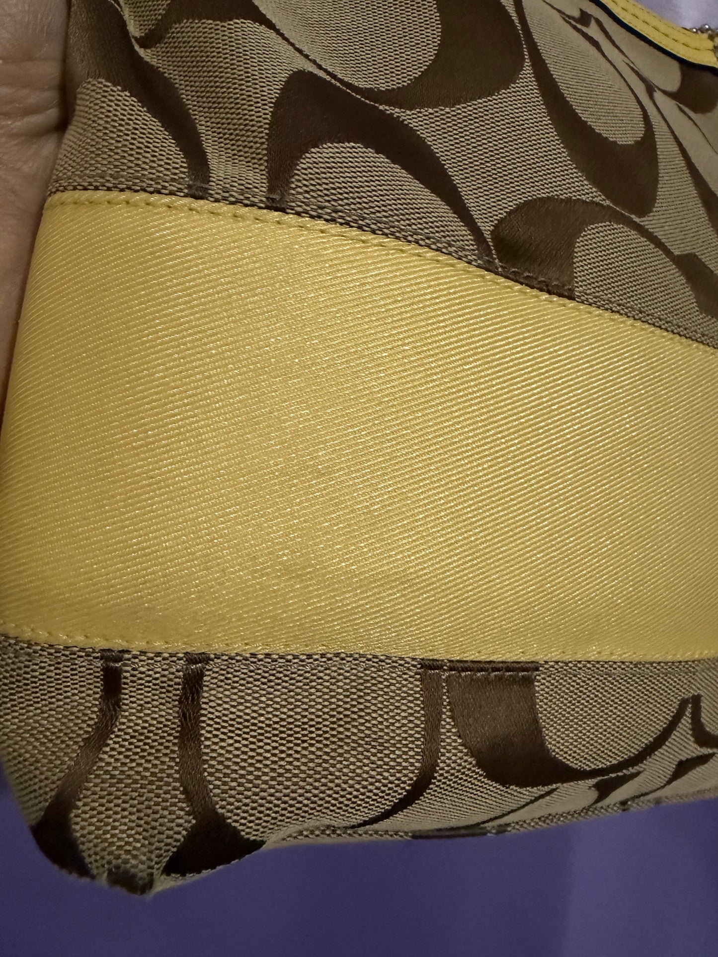Coach Khaki/Beige Signature Stripe Tote