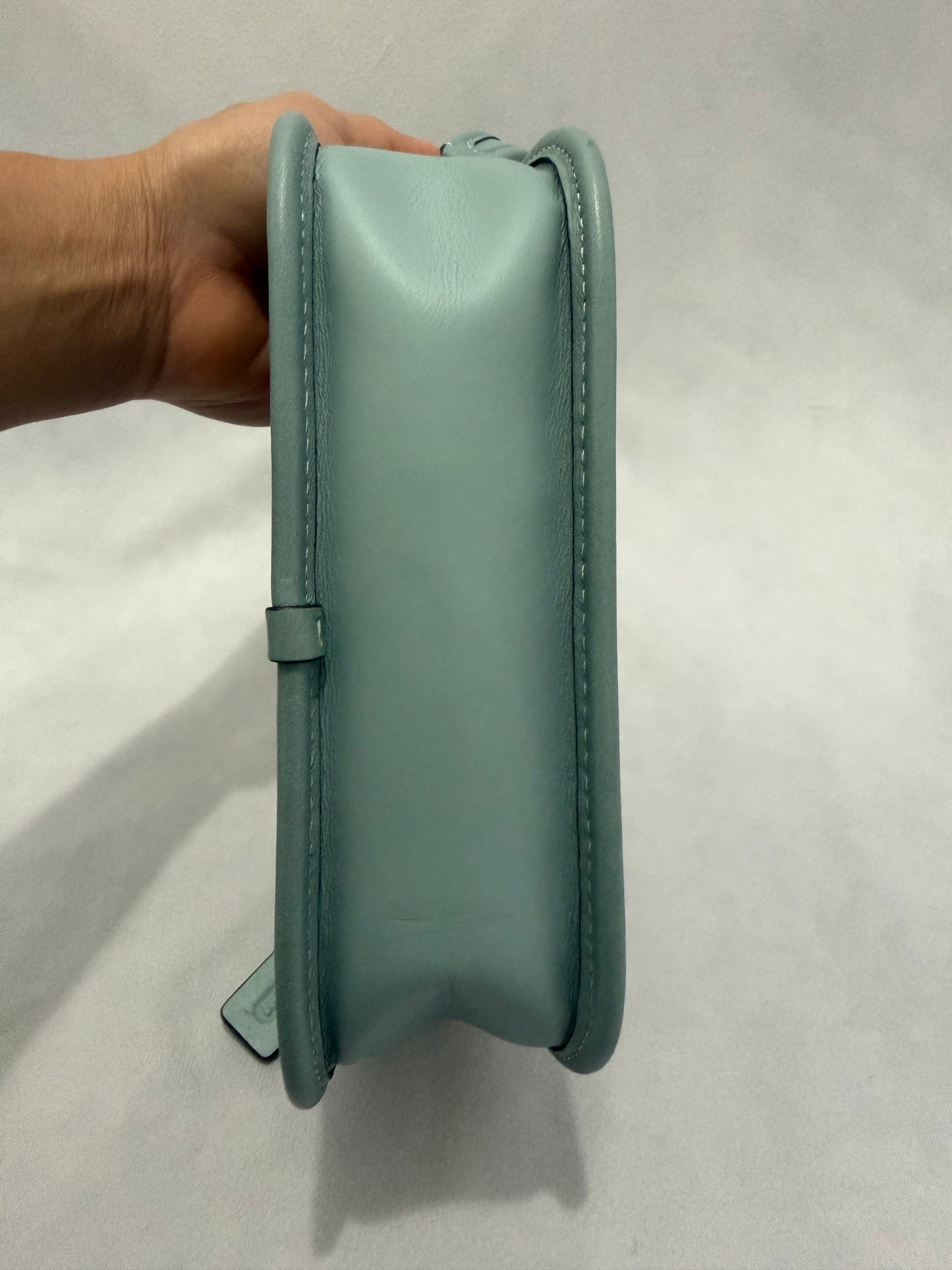 Coach Swinger Bag 20