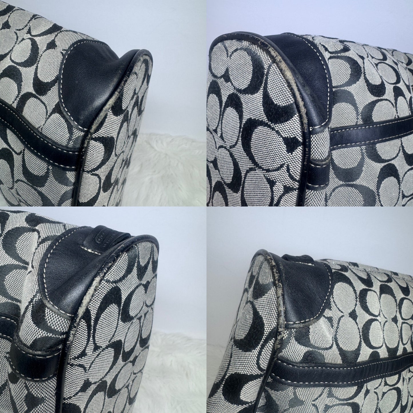 COACH Signature Tote Bag