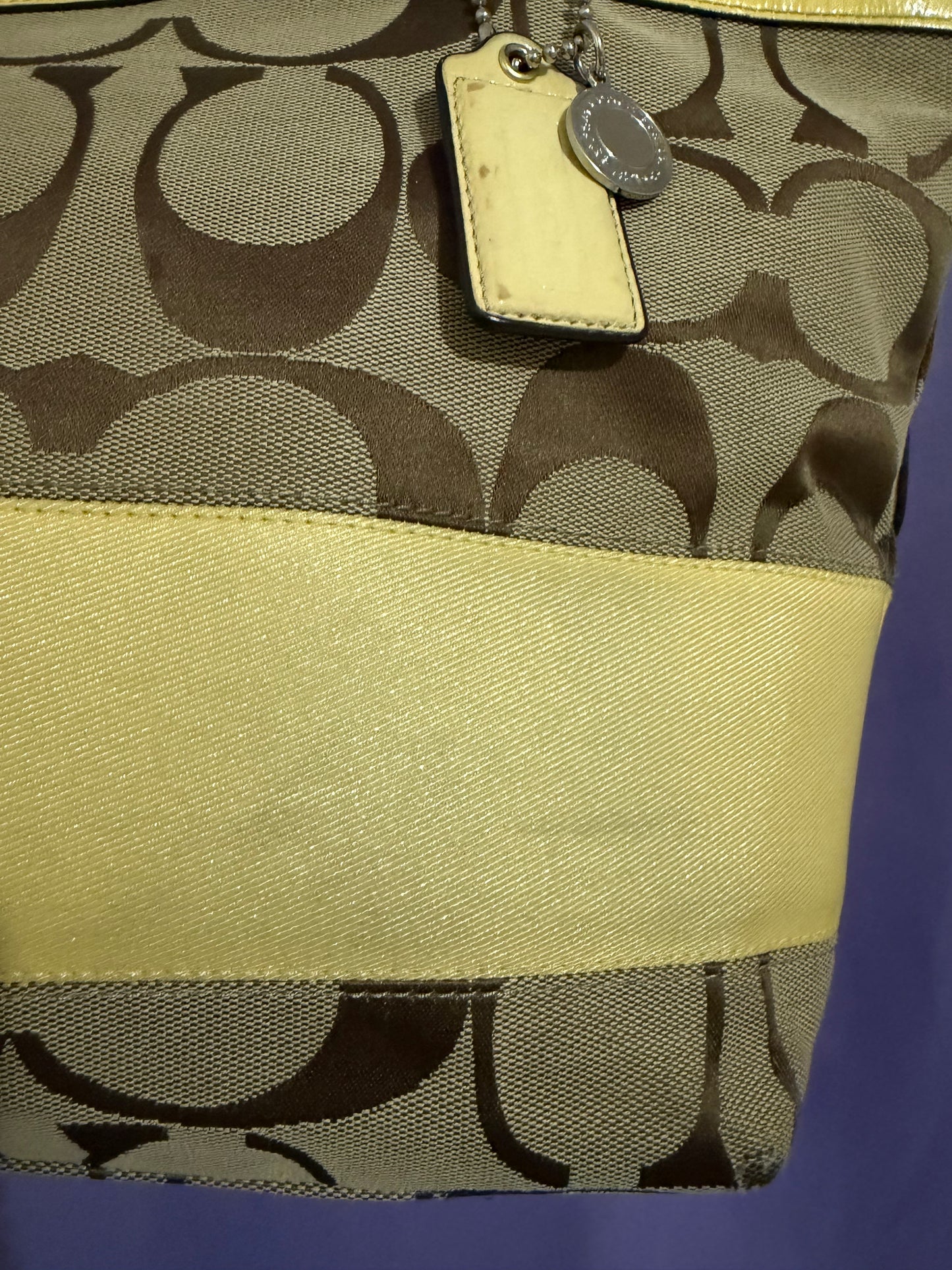 Coach Khaki/Beige Signature Stripe Tote