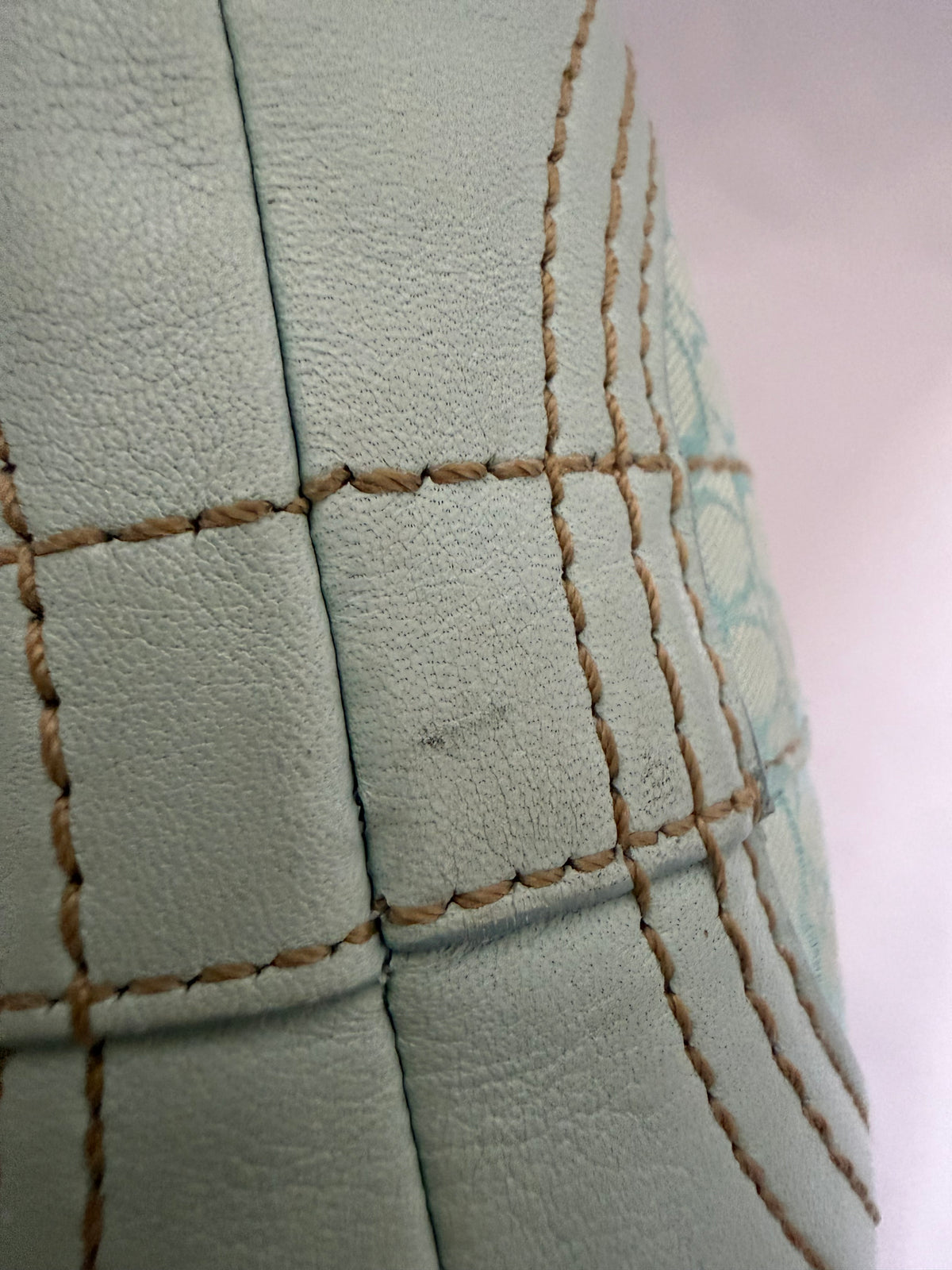 Coach Light Blue Soho Hobo